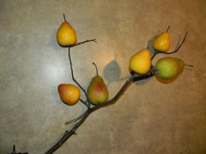Pear branch