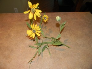 Decorating above kitchen cupboards, daisy stem bent