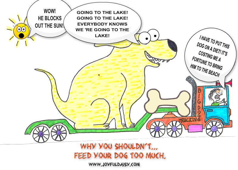 WHY YOU SHOULDN'T FEED YOUR DOG TOO MUCH