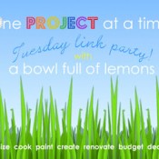 WED one-project-link-party-5