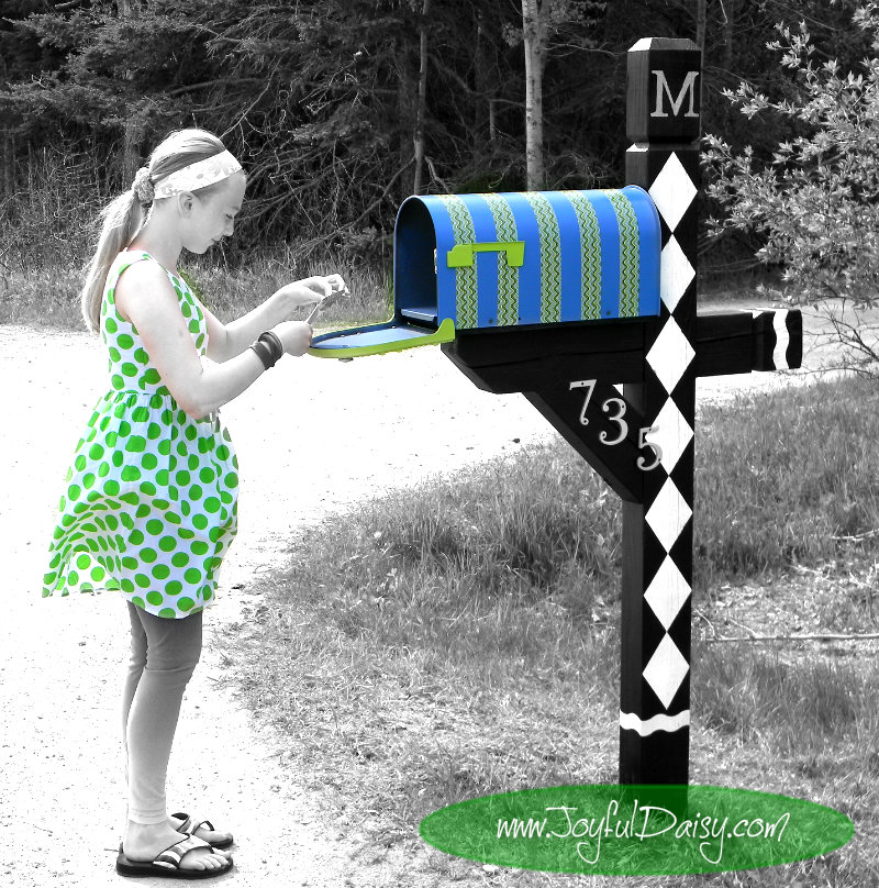 mailbox makeover lily black and white