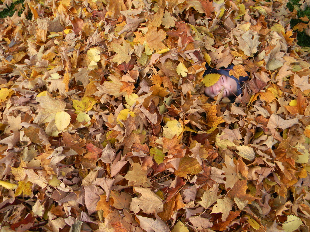 pile of leaves with a woobie!