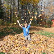 fall leaf celebration