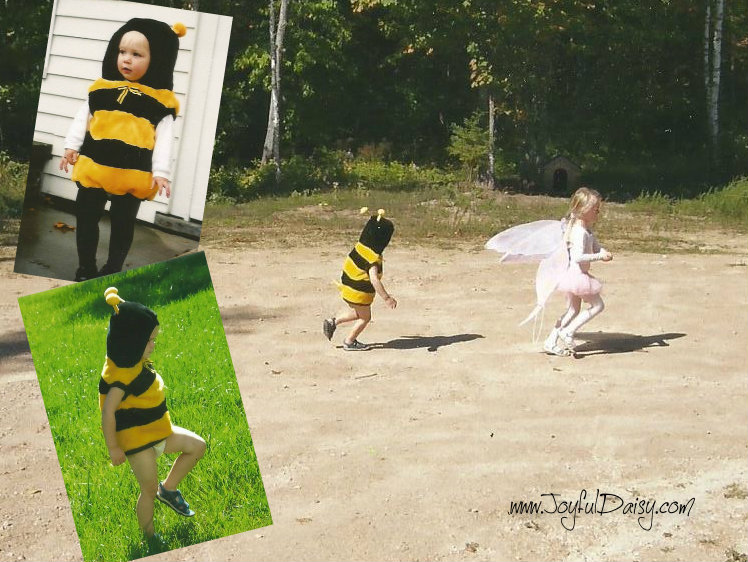 bee and fairy costumes