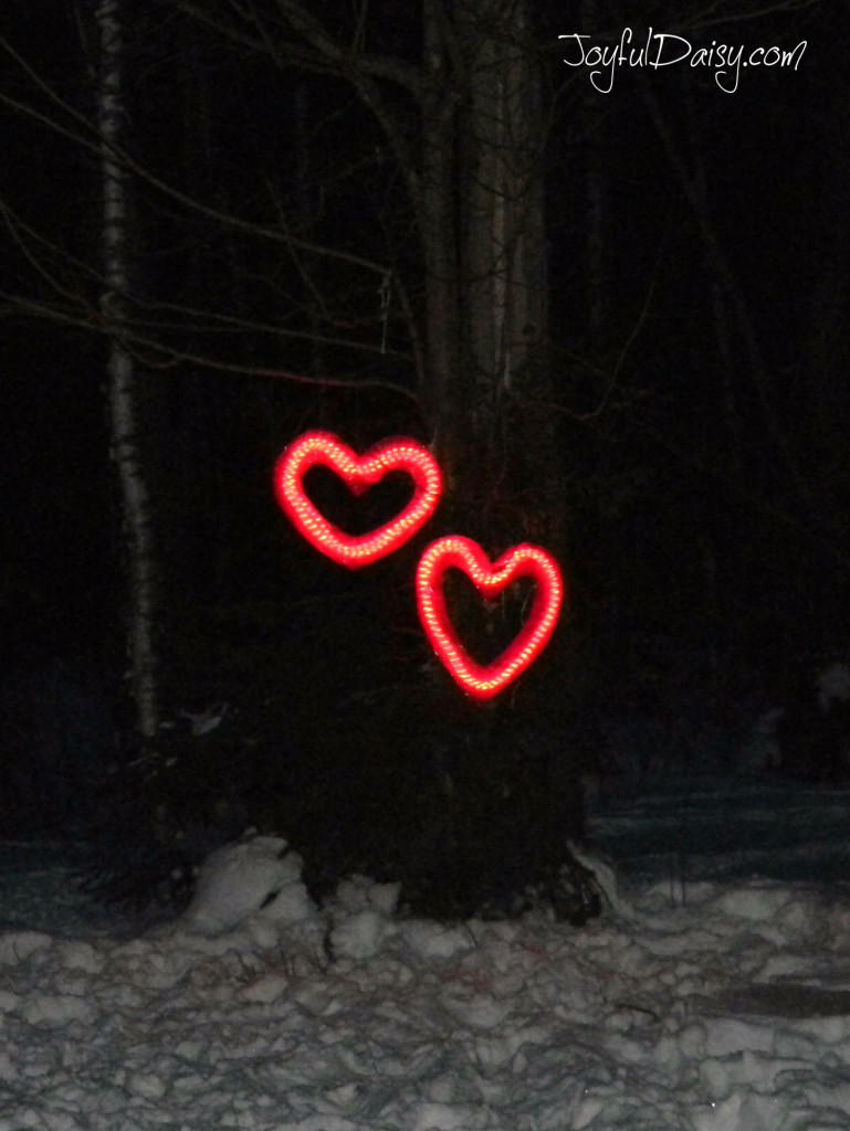 heart lights hanging in the trees night time