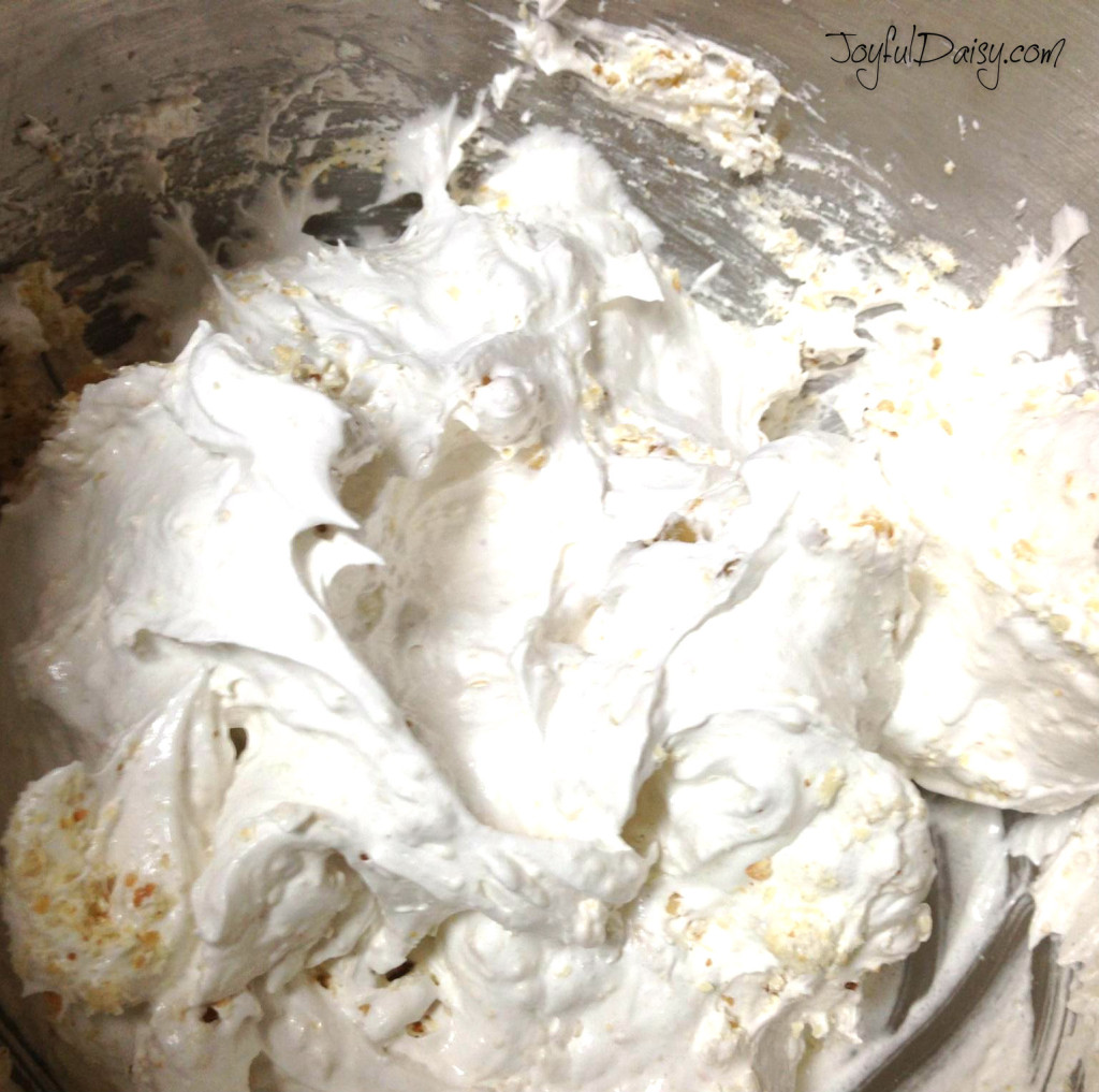 pic 3 fold ingredients in egg whitesPZ